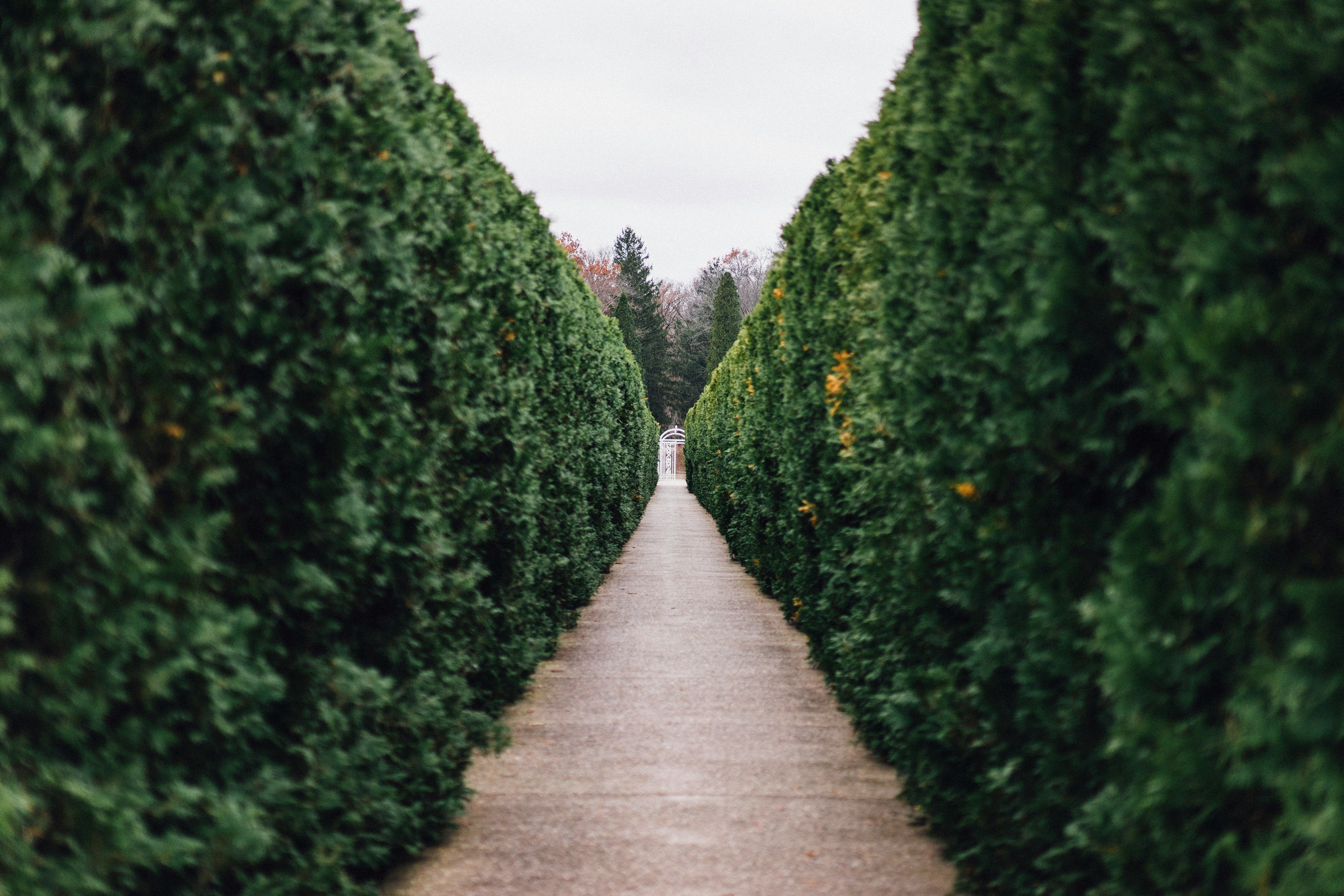 The Missing Element: Making the Invisible Visible